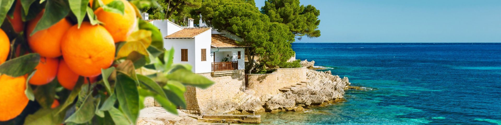 TRAUMINSEL 
MALLORCA